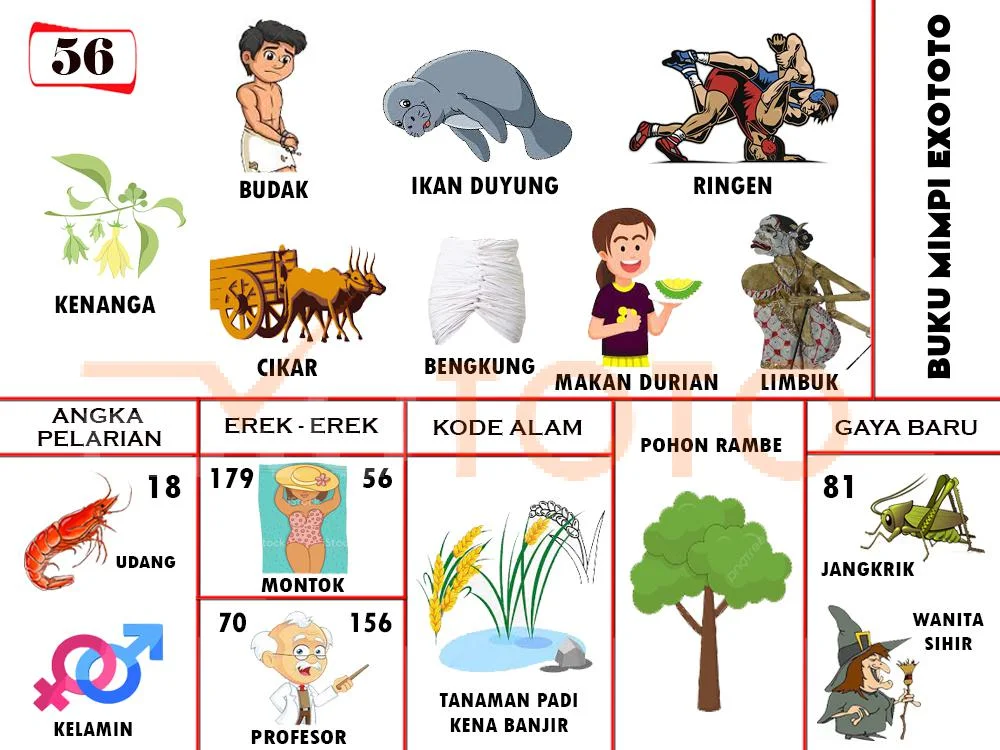 buku mimpi erek erek togel 56